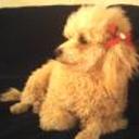 Lola