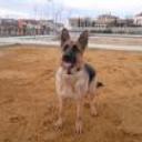 Shenna