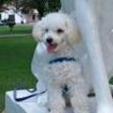Paquito