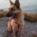 Kaiser
