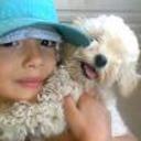 Brisa