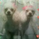 Persy y puka