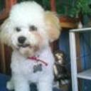 Pookie