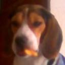 Tomasito