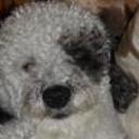 Manchas