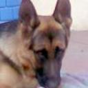 Rayza