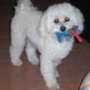 Miky