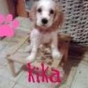 Kika