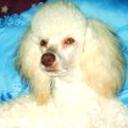Martina