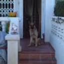 Trasto