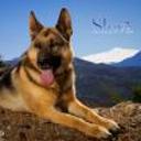 Shiva