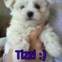 Tizzi