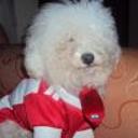 Lucas