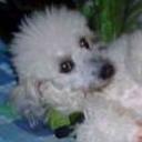 Missie