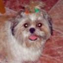 Cooper