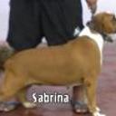 Sabrina