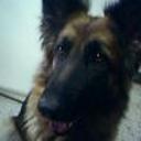 Bryna