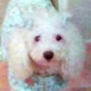 Muñeca