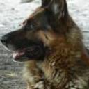 Duke