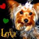 Lola