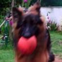 Rufo