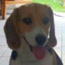 Molly