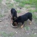Twister y sally