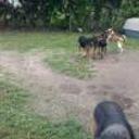 Twister y sally