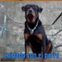 Tayson