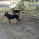 Twister y sally