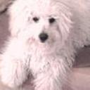 Romeo