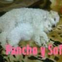 Panchito