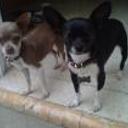 Jessy y luna