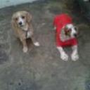 Coty y junior