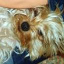 Barni