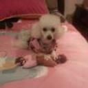 Baby