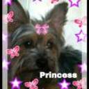 Princess