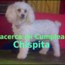 Chispa