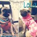 Pippa y lola