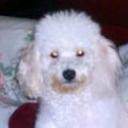 Toto
