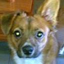Rambillo