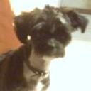 Canelica