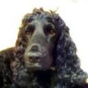 Tina