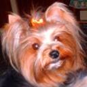 Bety