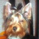 Cumbi