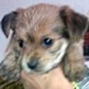 Winnie