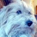 Sacha