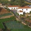 Vista aerea de Finca Saroga